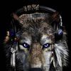 mikehuff327